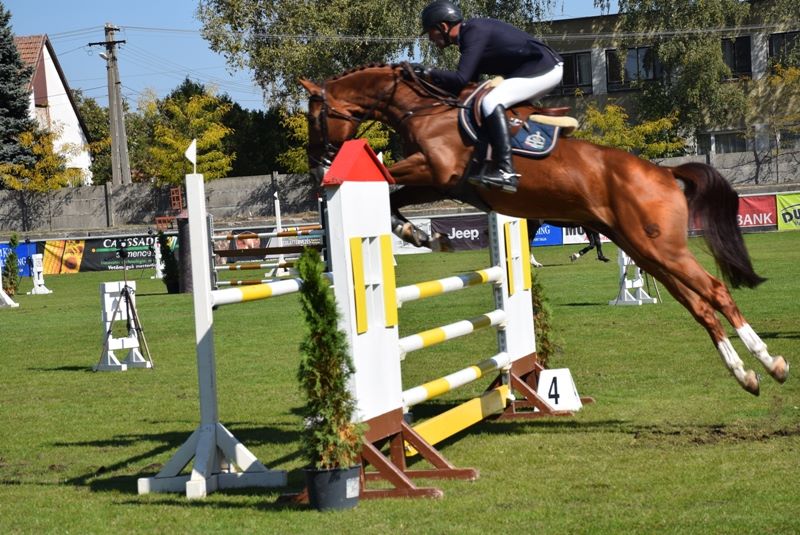 XXXV. Tenyészverseny