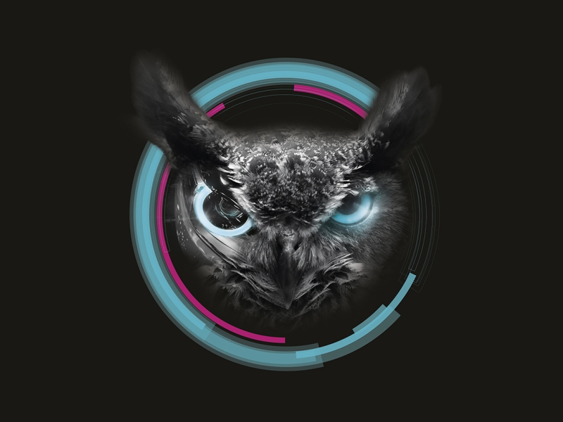 Látni és látszani 2018