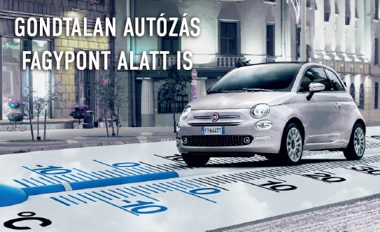 Fiat téli szerviz akció